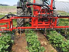 AGRIPP Erdbeergestänge für den Front- oder Heckanbau