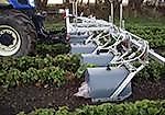 ECOROBOTIX; ROW SPRAYER; ECOROBOTIX ;Erdbeersprizen; E;rdbeeren; Tunnelspritzen;