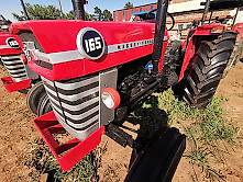 Used Massey Ferguson 165 For Sale Tractorpool Co Uk